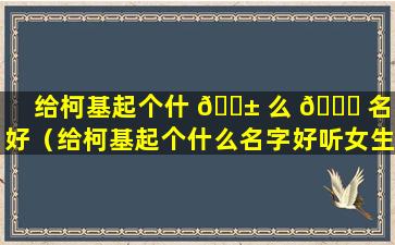 给柯基起个什 🐱 么 🐟 名字好（给柯基起个什么名字好听女生）